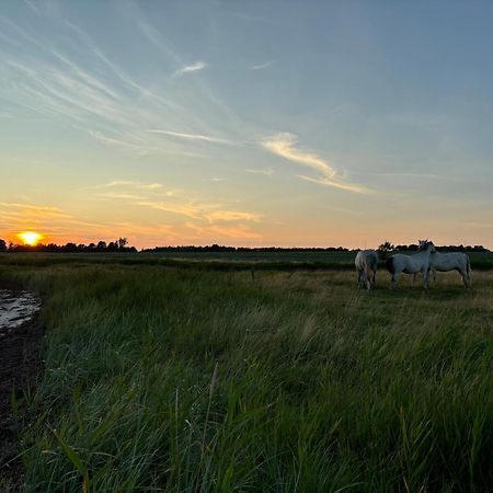 Nedlagt Gard I Naturen Med Ro Og Fred Og Samtidig Taet Pa Strand Og Fiskeri Og Indkobsmuligheder Nordborg Buitenkant foto