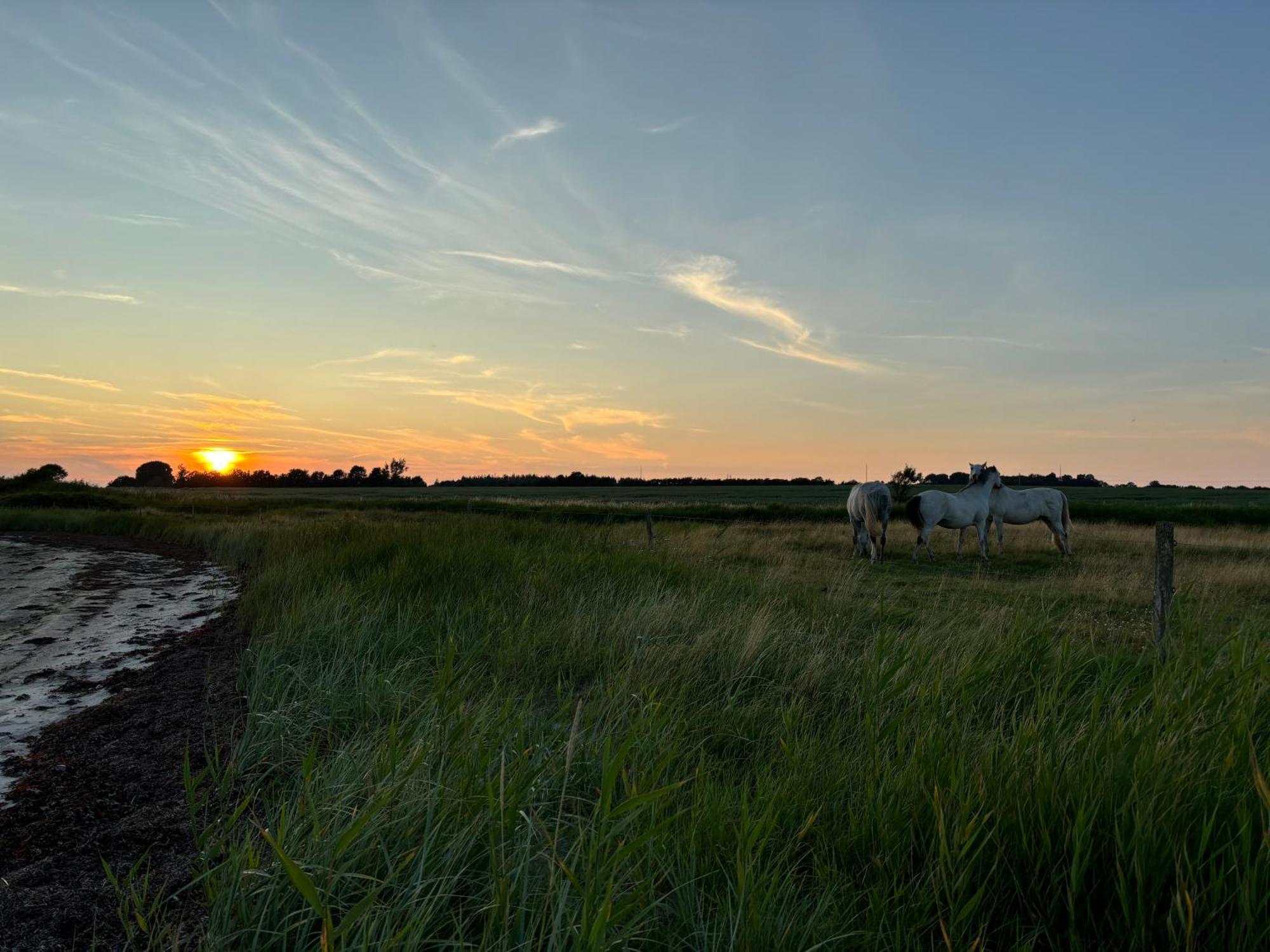 Nedlagt Gard I Naturen Med Ro Og Fred Og Samtidig Taet Pa Strand Og Fiskeri Og Indkobsmuligheder Nordborg Buitenkant foto